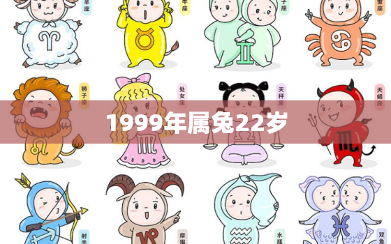 1999年属兔22岁，1999年属兔22岁是什么星座