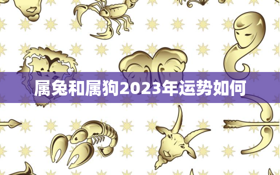 属兔和属狗2023年运势如何，属兔和属狗2023年运势如何样