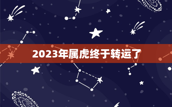 2023年属虎终于转运了，2024年属虎的全年运势