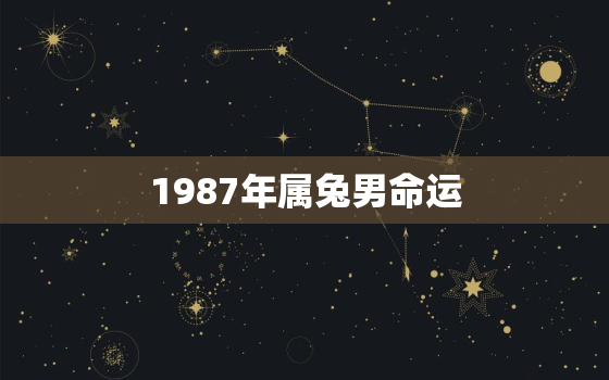 1987年属兔男命运，1987年属兔男的命运怎么样