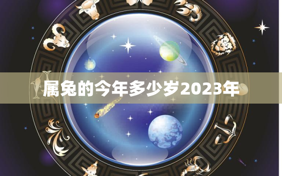 属兔的今年多少岁2023年，属兔今年年龄