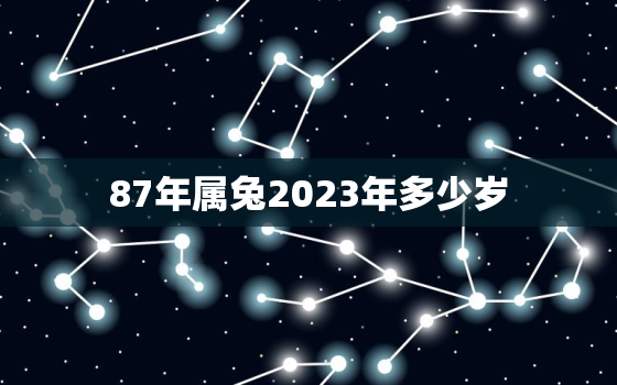 87年属兔2023年多少岁，87年兔子在2023年运势怎么样