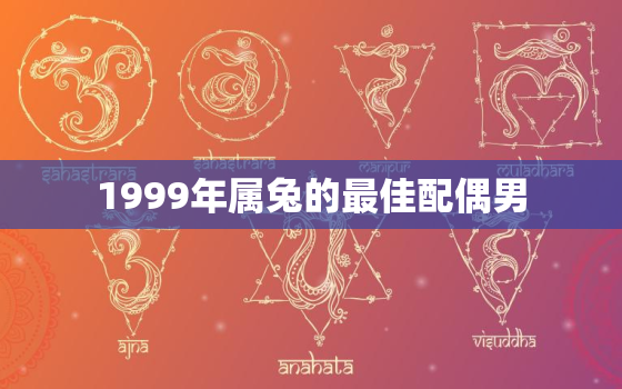 1999年属兔的最佳配偶男，1999年属兔男最佳婚配属相