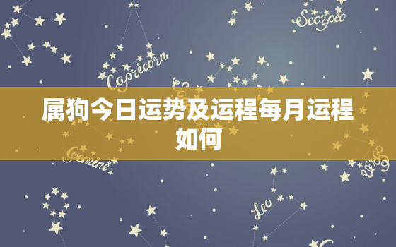 属狗今日运势及运程每月运程如何，属狗今日运势非常运势网