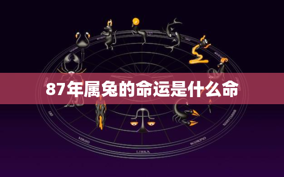 87年属兔的命运是什么命，87年属兔的是什么命运2021年