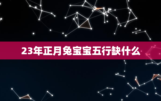 23年正月兔宝宝五行缺什么，23年兔宝宝是什么命