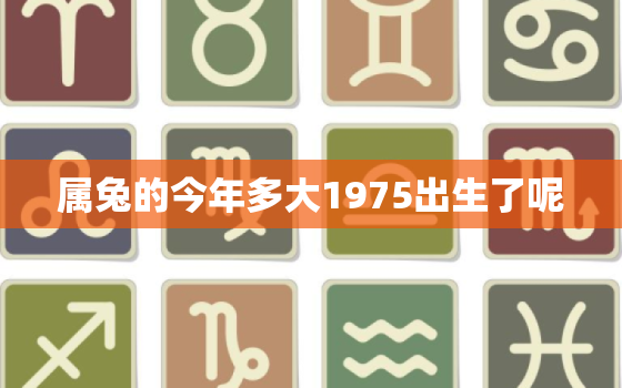 属兔的今年多大1975出生了呢，属兔的今年多大1975出生了呢男孩