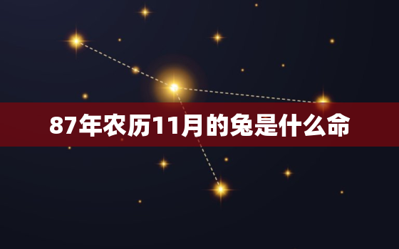 87年农历11月的兔是什么命，87年农历11月属兔的是什么命