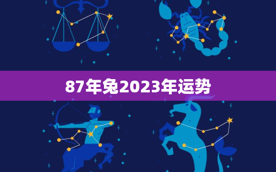 87年兔2023年运势，87年属兔的命运