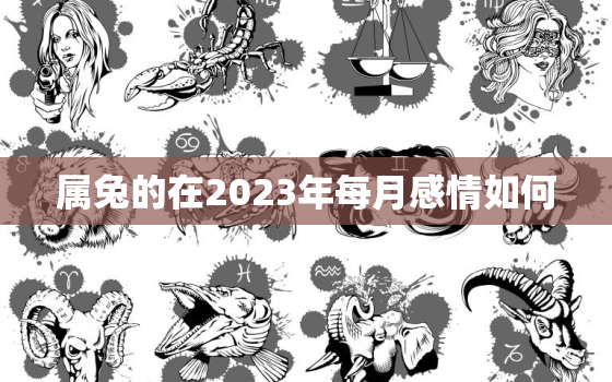 属兔的在2023年每月感情如何，属兔人2023