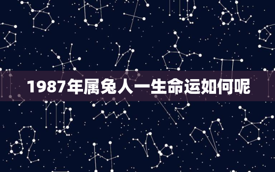 1987年属兔人一生命运如何呢，1987年属兔人的命理和运势