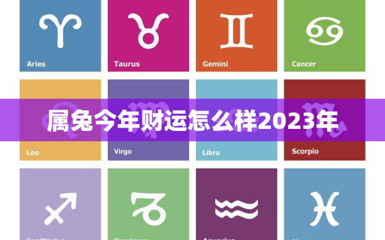 属兔今年财运怎么样2023年，属兔今年的财运如何2021