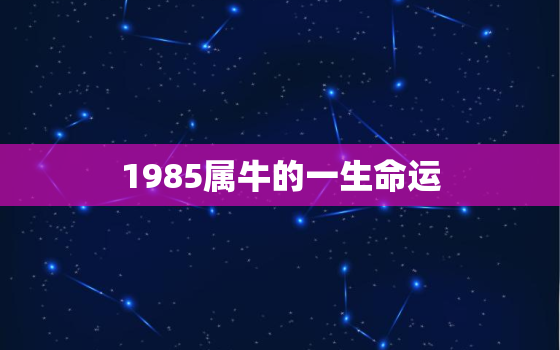 1985属牛的一生命运，1985属牛的一生命运张夜人