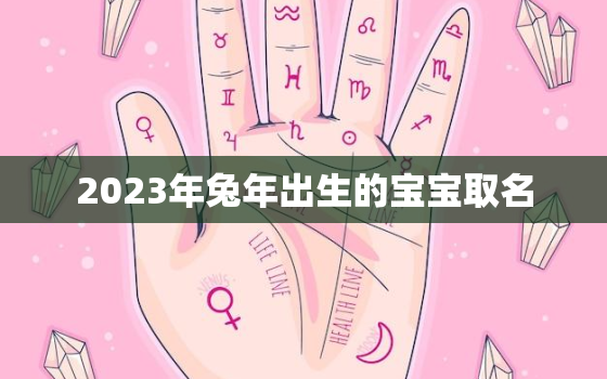 2023年兔年出生的宝宝取名，2023年兔年出生的宝宝取名大全