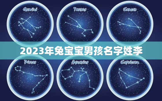 2023年兔宝宝男孩名字姓李，李姓男孩属兔名字大全