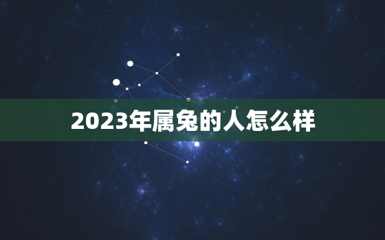 2023年属兔的人怎么样，2023年属兔一生命运