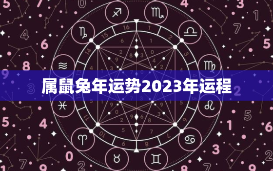 属鼠兔年运势2023年运程，2021年属鼠兔人的全年运势