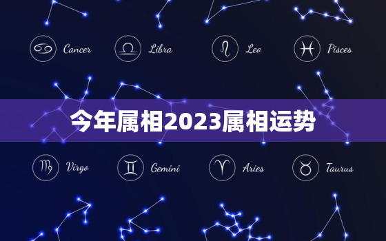 今年属相2023属相运势，今年生肖2023