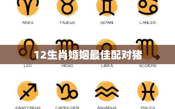 12生肖婚姻最佳配对猪，十二生肖最佳姻缘配对猪