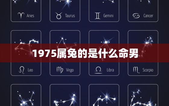 1975属兔的是什么命男，1975属兔的人是什么命