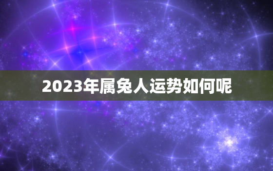 2023年属兔人运势如何呢，2023年属兔的人的全年运势