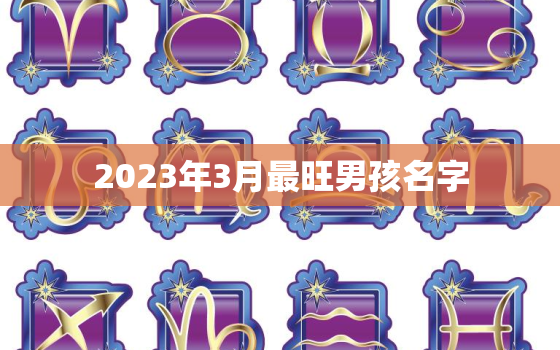 2023年3月最旺男孩名字，2021年3月男孩起名