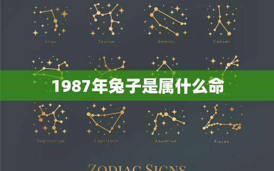 1987年兔子是属什么命，1987年兔属于什么命人