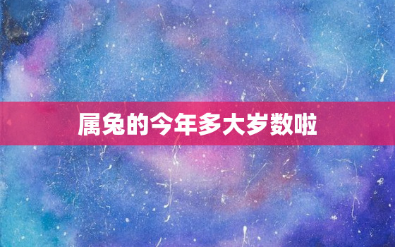 属兔的今年多大岁数啦，属兔的今年多大岁数2021