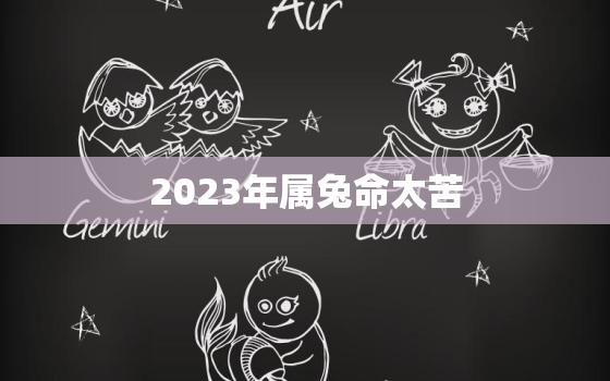 2023年属兔命太苦，2022年备孕最佳月份