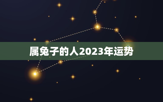 属兔子的人2023年运势，属兔子的人2023年运势及运程