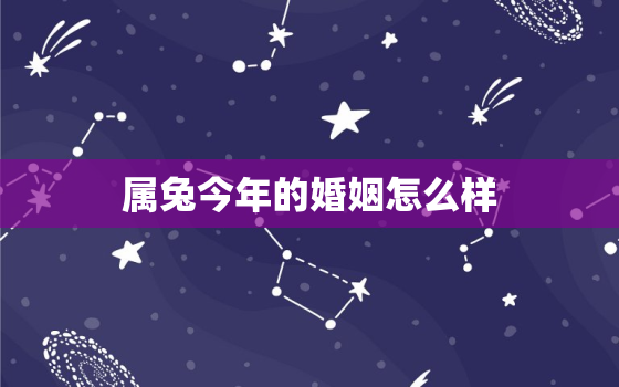 属兔今年的婚姻怎么样，属兔的人今年婚姻会有什么问题