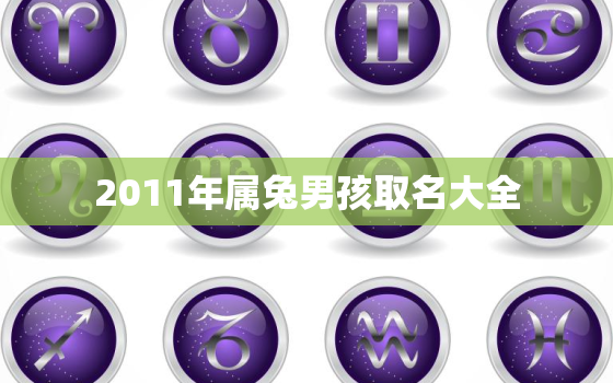 2011年属兔男孩取名大全，2011年男孩取名