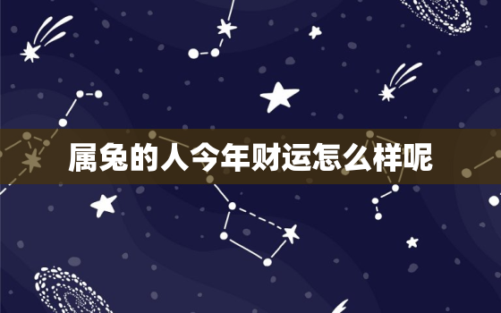 属兔的人今年财运怎么样呢，属兔的今年财运咋样