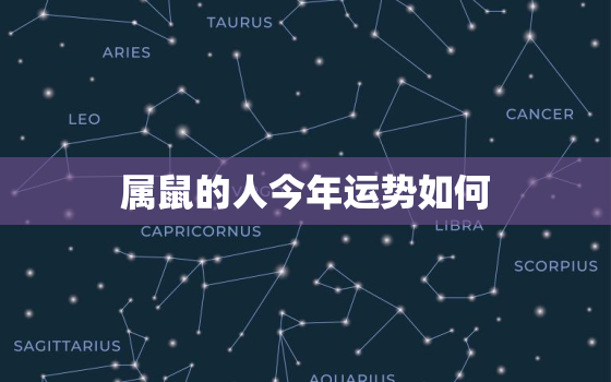 属鼠的人今年运势如何，属鼠的人今年运势如何2020