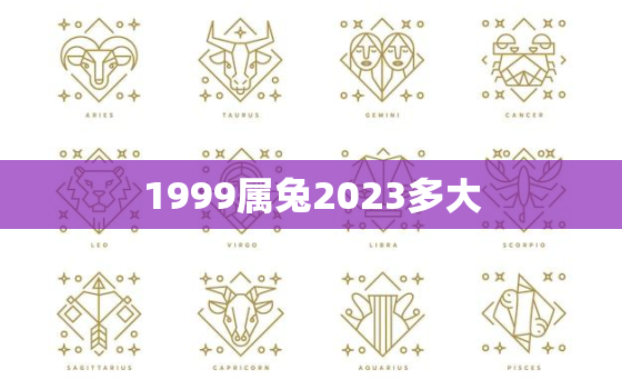 1999属兔2023多大，1999年属兔23岁以后一生命运