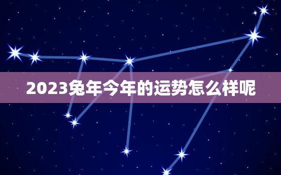 2023兔年今年的运势怎么样呢，2023年生肖兔的全年运势