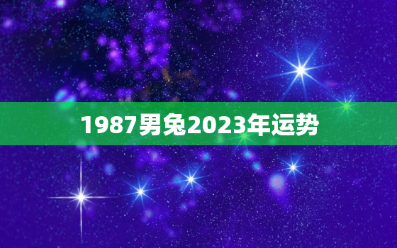 1987男兔2023年运势，1987年属兔的在2023年的运势好不好呢