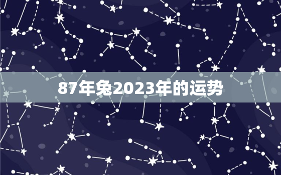 87年兔2023年的运势，2022属兔全年运势1987