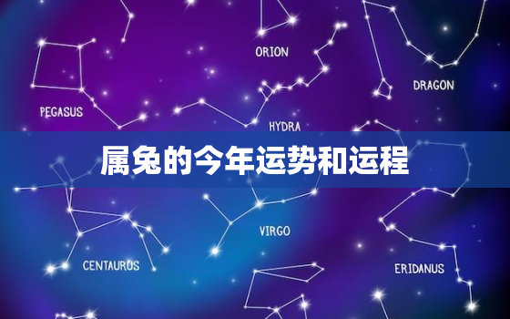 属兔的今年运势和运程，属兔今年运势2022年运势