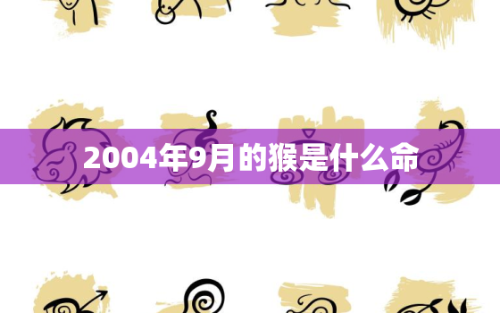 2004年9月的猴是什么命，2004年属猴农历出生9月命运