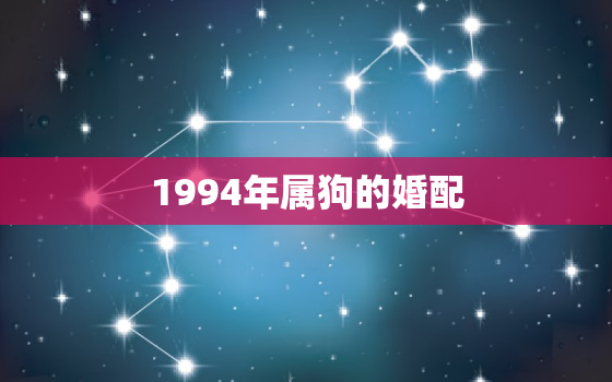 1994年属狗的婚配，姻缘配对 生辰八字