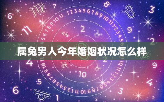 属兔男人今年婚姻状况怎么样，属兔的男今年好不好