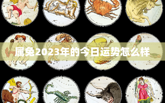 属兔2023年的今日运势怎么样，属兔人今年运势2023年每月运势