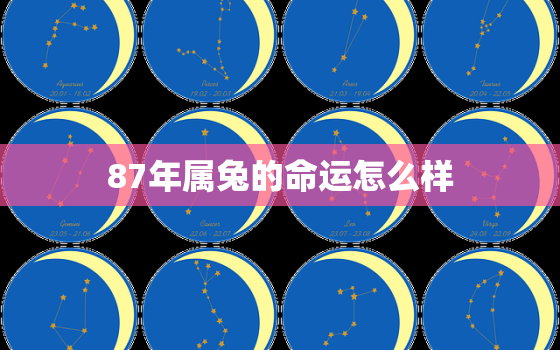 87年属兔的命运怎么样，87年属兔的命运怎么样呢