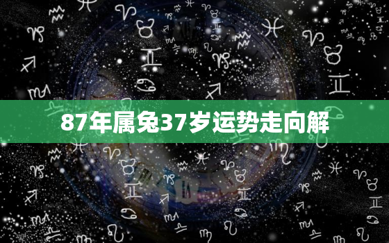 87年属兔37岁运势走向解，87年属兔33岁2020的运势