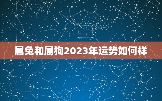 属兔和属狗2023年运势如何样，属狗在2023年兔年运势