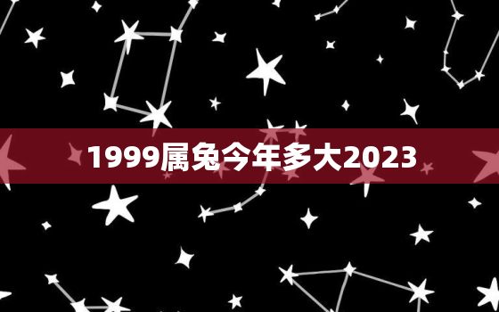 1999属兔今年多大2023，1999属兔今年多大岁数2022