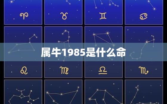 属牛1985是什么命，属牛年1985是什么命