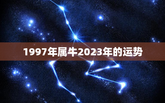 1997年属牛2023年的运势，1997年属牛人2023年全年运势详解