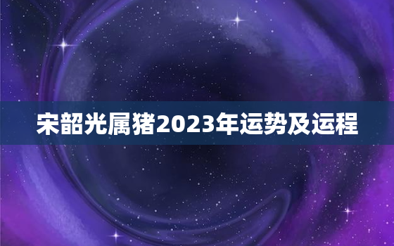 宋韶光属猪2023年运势及运程，宋韶光属猪人2022年运势